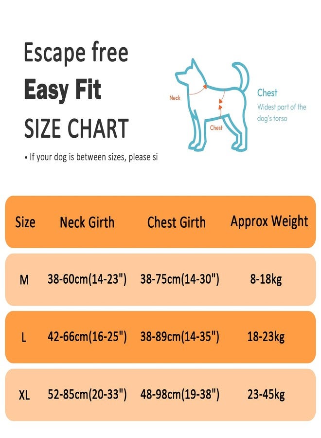 Karsaer Dog Harness No Pull with 2 Leash Clips,Escape-Proof, Adjustable Reflective No Choke Pet Vest, Medium & Large Dogs, Padded Training & Walking Harness with Free Leash Black G9002 - Image 2